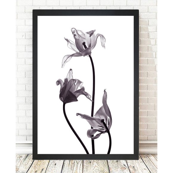 Other - Set of 2 Picture Frames - Floral